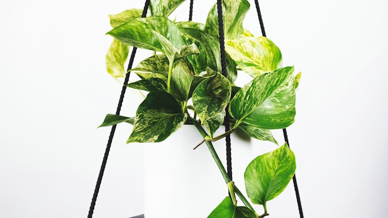 2026世界杯决赛场馆概念图 - 现代体育场与璀璨灯光